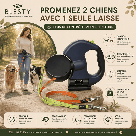 laisse double pour chien
