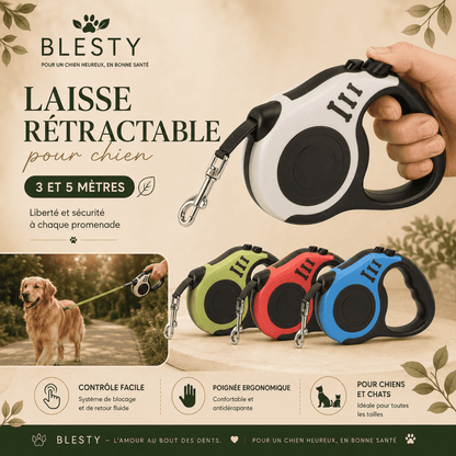 laisse retractable chien