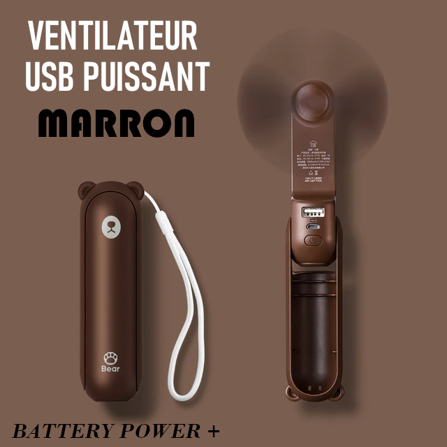 Ventilateur portable Marron