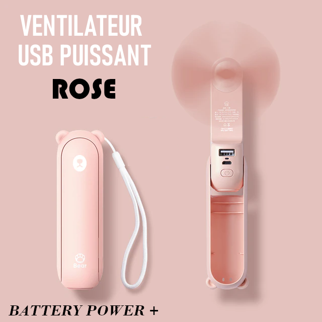 Ventilateur portable Rose